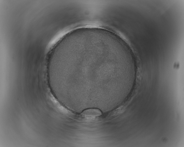 X0000111441456200907271118