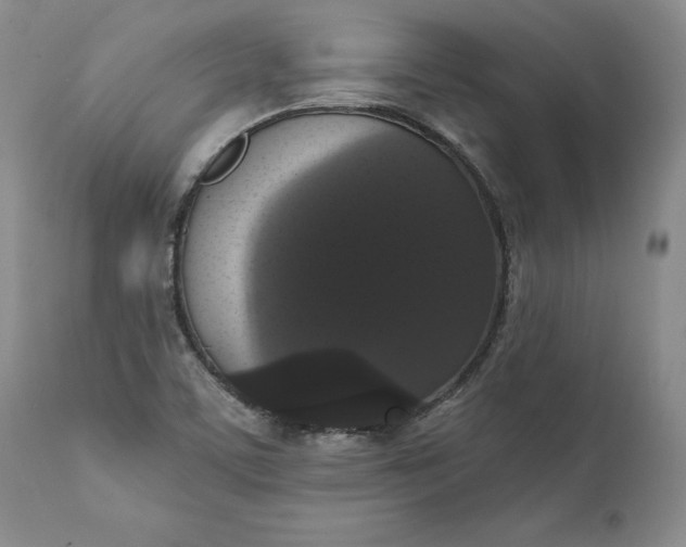 X0000111441459200907271118