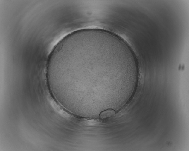 X0000111441460200907271118