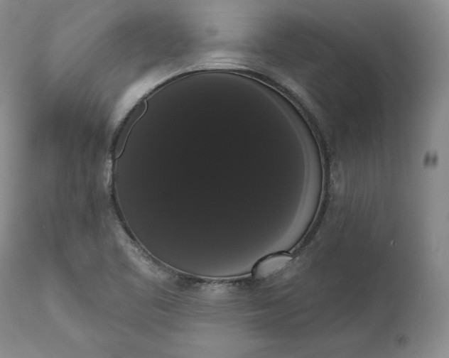 X0000111441461200907271118