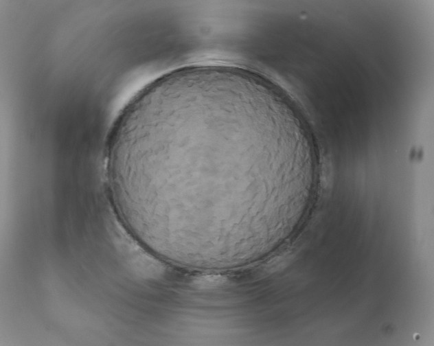 X0000111441462200907271118