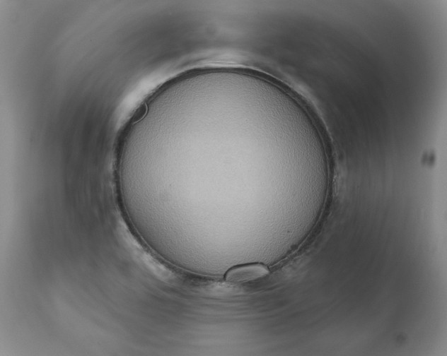 X0000111441464200907271118