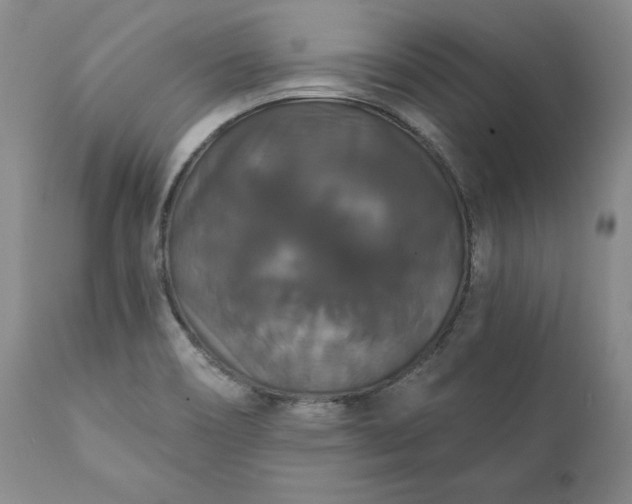 X0000111441466200907271118