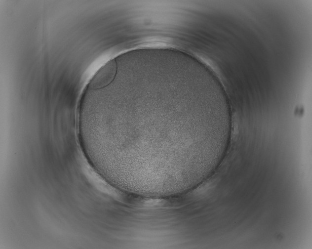 X0000111441467200907271118