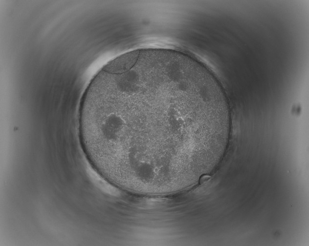 X0000111441471200907271118