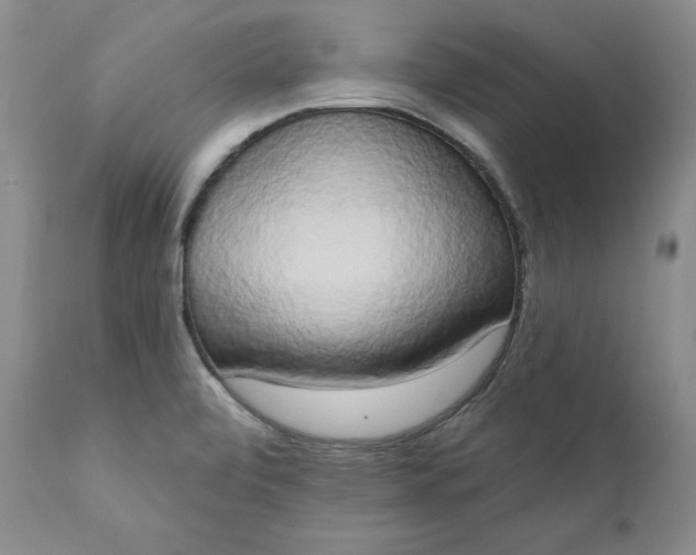 X0000111441472200907271118