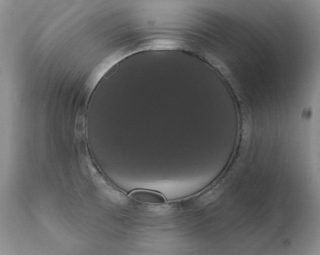 X0000111441473200907271118