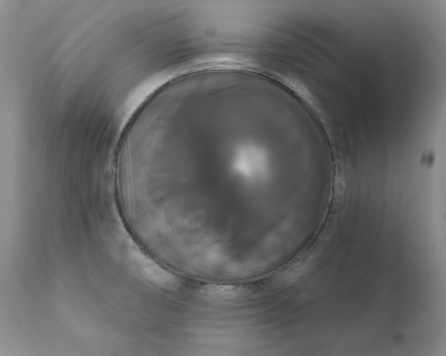 X0000111441474200907271118