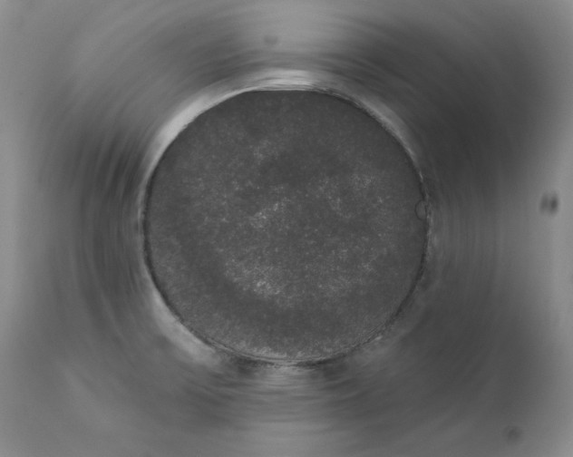 X0000111441475200907271118