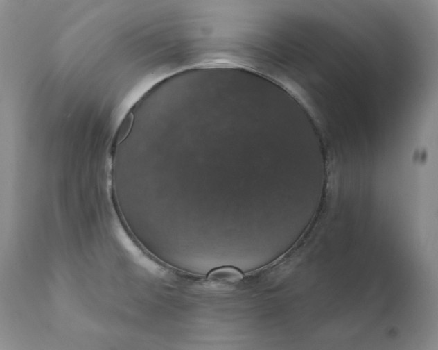 X0000111441476200907271118