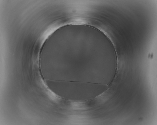 X0000111441477200907271118