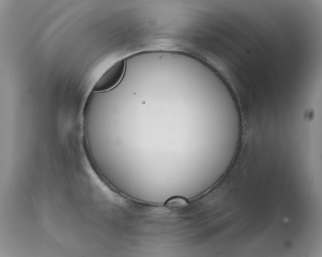 X0000111441479200907271118