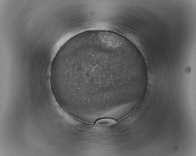 X0000111441480200907271118