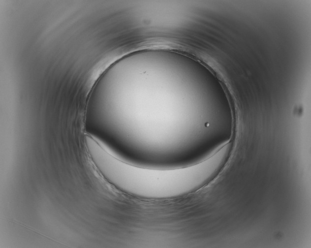 X0000111441481200907271118