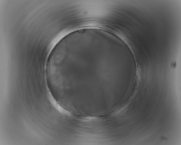 X0000111441482200907271118