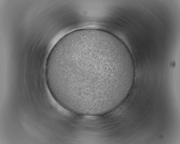 X0000111441483200907271118