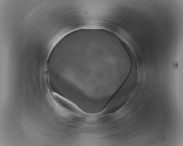 X0000111441484200907271118