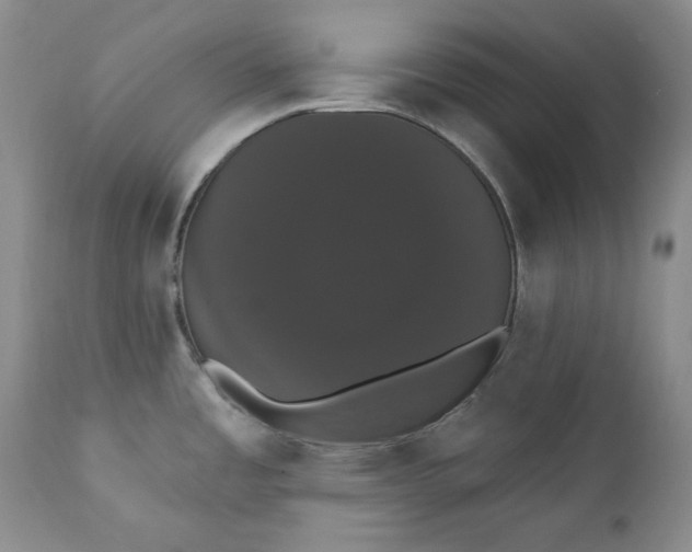 X0000111441485200907271118