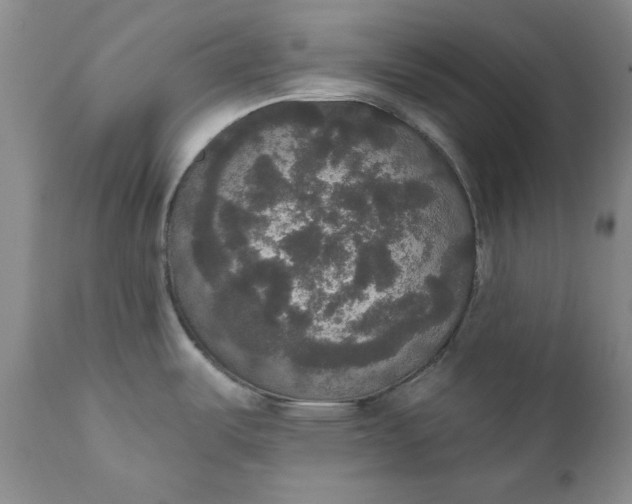 X0000111441487200907271118