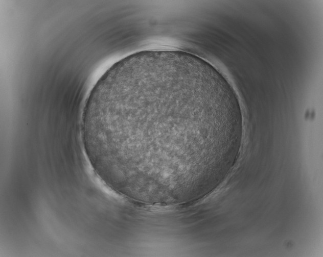 X0000111441488200907271118