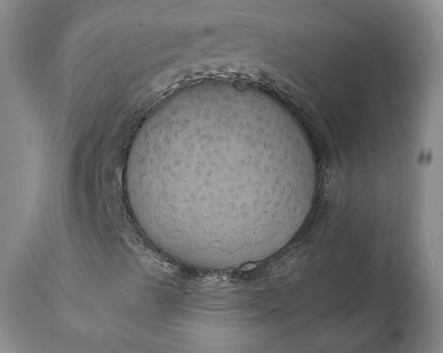 X0000111441489200907271116