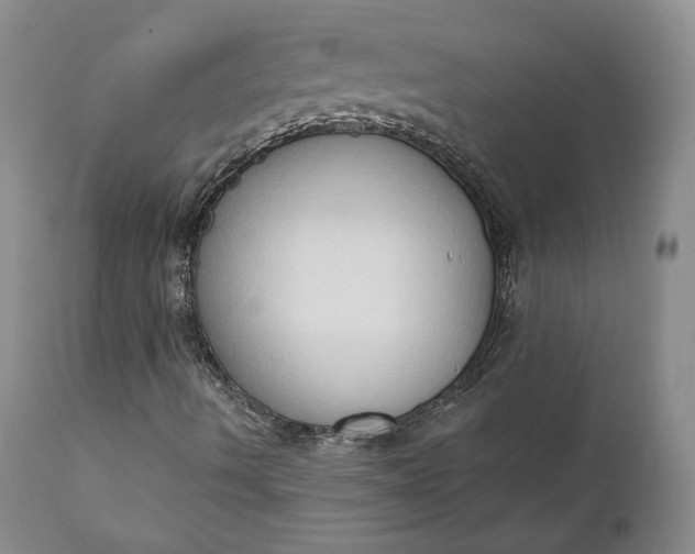 X0000111441490200907271116