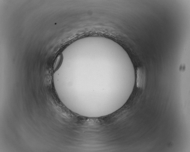 X0000111441491200907271117