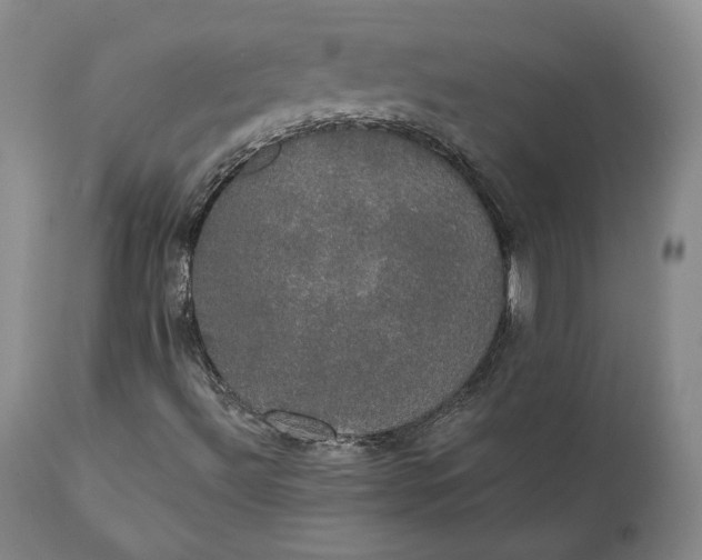 X0000111441492200907271117