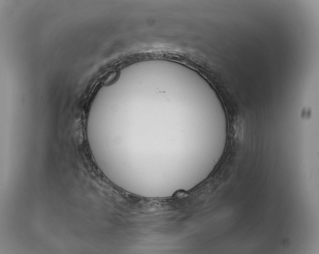 X0000111441493200907271117