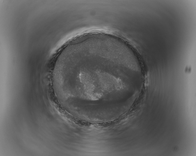 X0000111441496200907271117