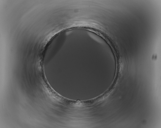 X0000111441497200907271117