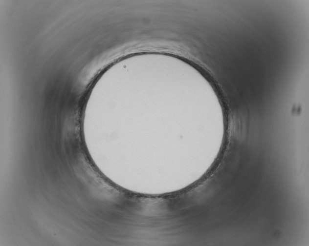 X0000111441498200907271117