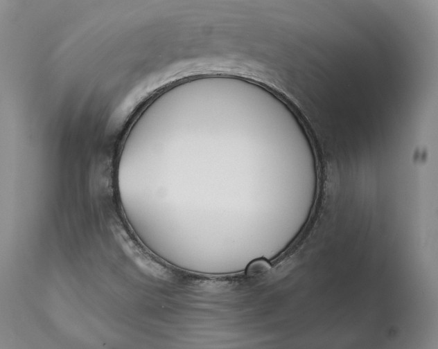 X0000111441499200907271117