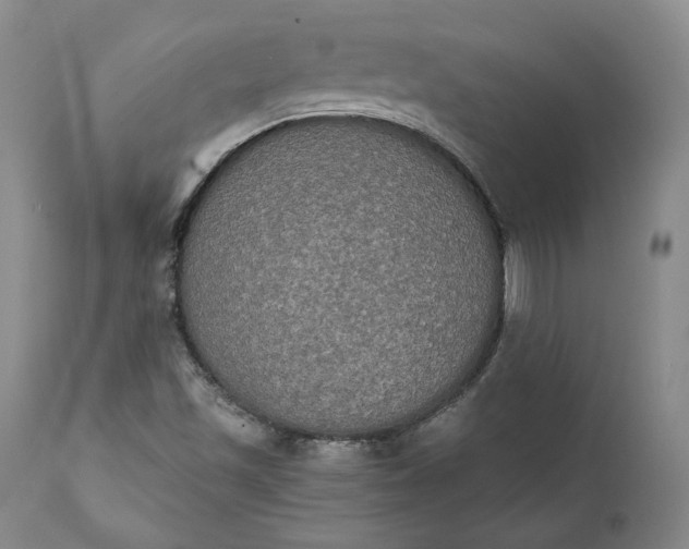 X0000111441501200907271117