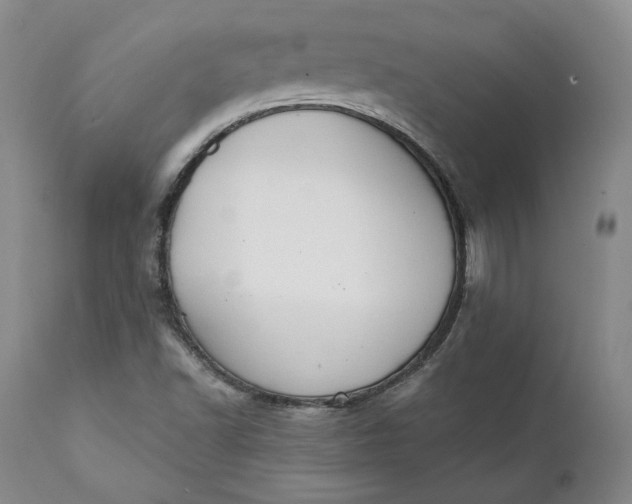 X0000111441502200907271117