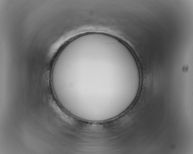 X0000111441503200907271117