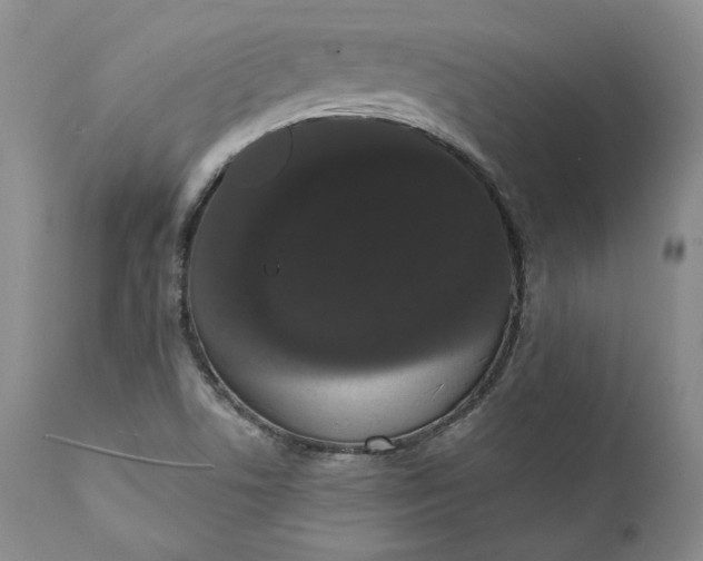 X0000111441506200907271117