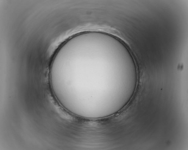 X0000111441507200907271117