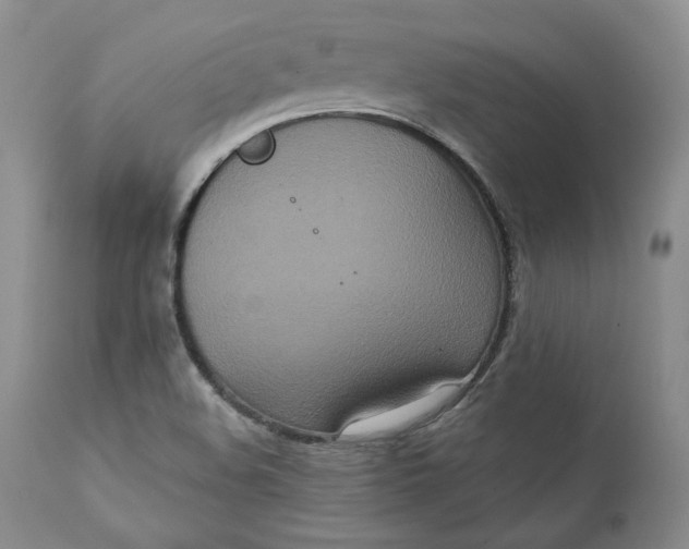 X0000111441508200907271117