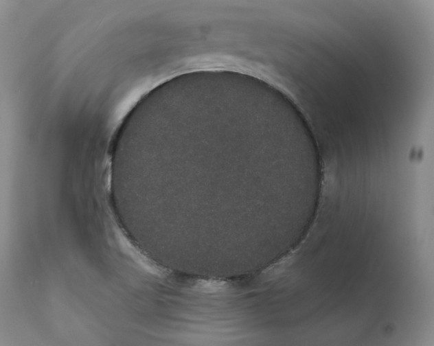 X0000111441509200907271117