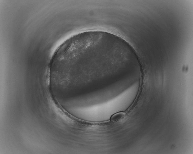 X0000111441510200907271117