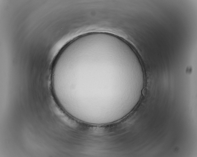 X0000111441511200907271117