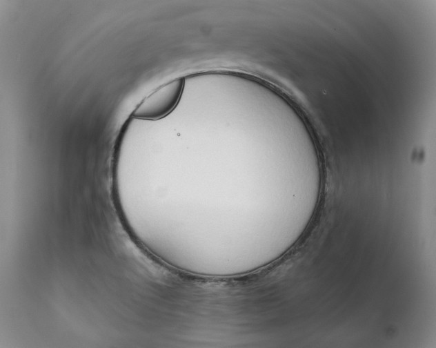 X0000111441512200907271117