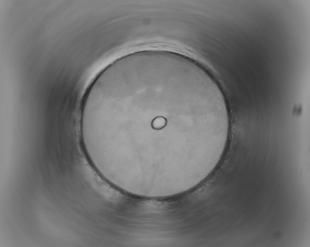 X0000111441514200907271117