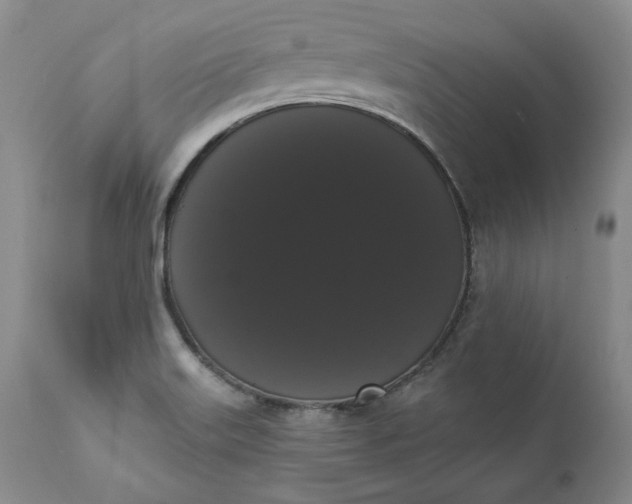 X0000111441515200907271117