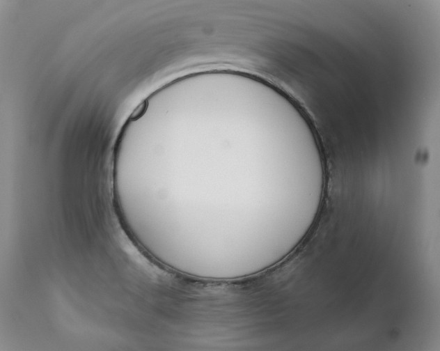 X0000111441516200907271117