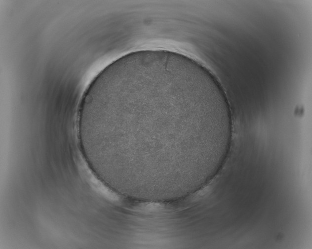 X0000111441517200907271117