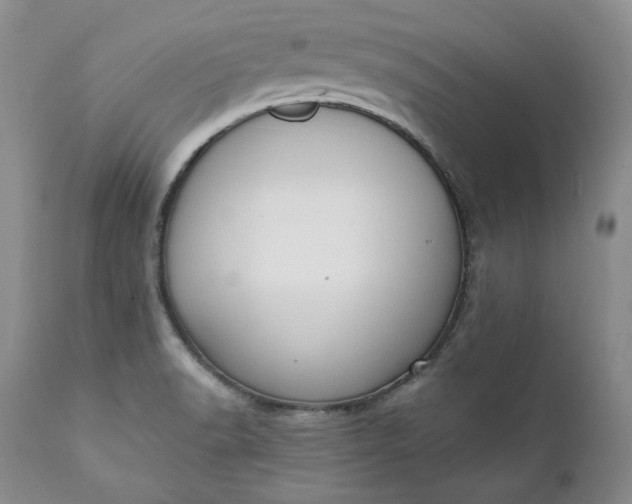 X0000111441518200907271117