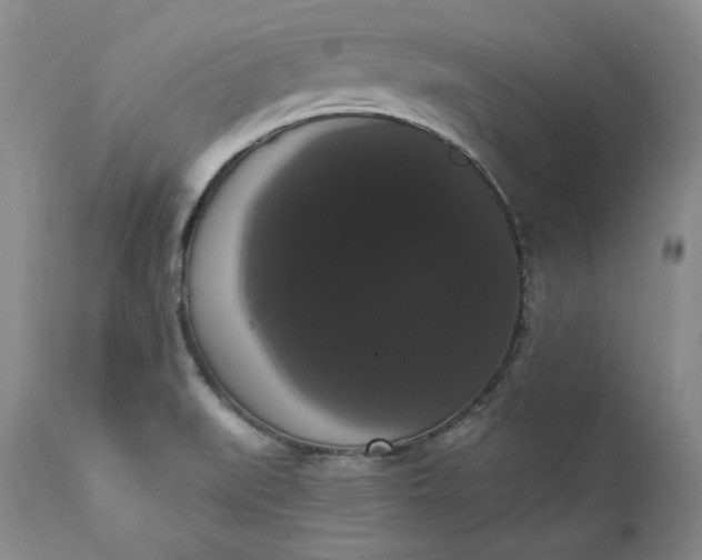 X0000111441519200907271117