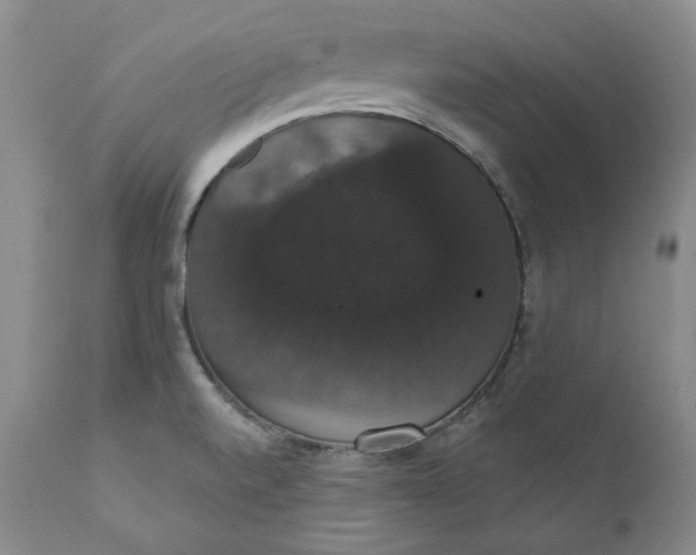 X0000111441520200907271117